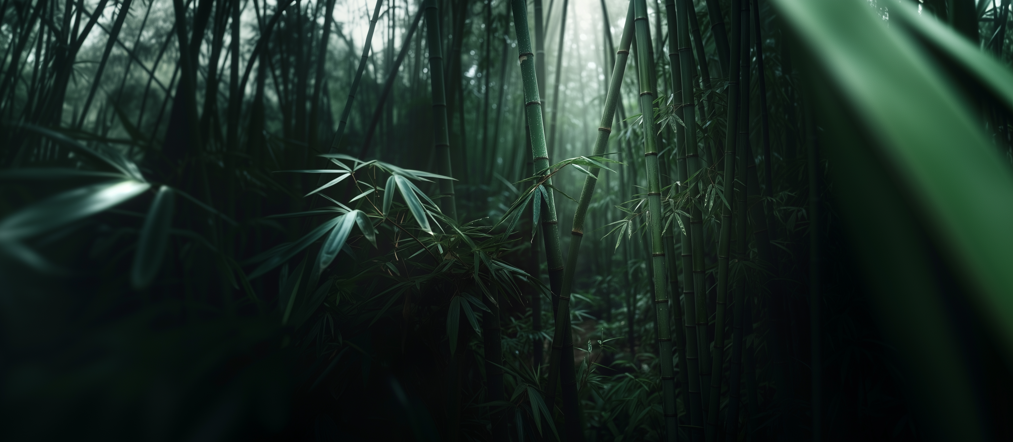Bamboo - Hemp - Organic Cotton